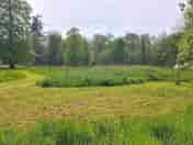 Nuthatch pitch