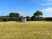 Field