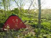 Secluded pitch