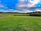 The grass pitches