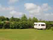 Great level pitches