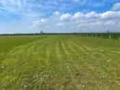 Camping field