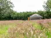 Yurt exterior