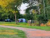 Grass pitches