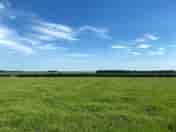 View of the site