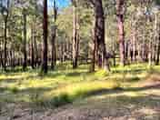 Bushland