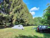 Tree-sheltered pitches