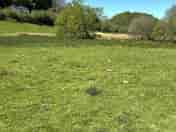 Camping field