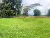 Level grass pitches