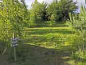 Grass pitches