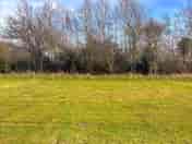 Tent pitches divided by longer uncut grass