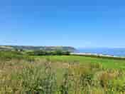 Field and views