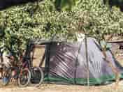 Tent pitches