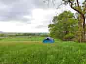 Grass pitches