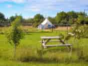 Tent pitches with beautiful wild seating area