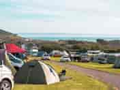 Grass pitches