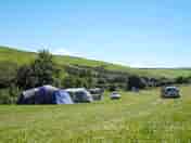 Green and peaceful surroundings