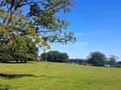 View across field