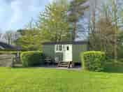 Norfolk Horn Shepherd Hut