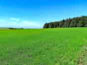 Peaceful and secluded
