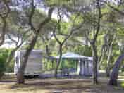 Shaded pitch