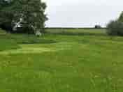 Ladybird tent pitch