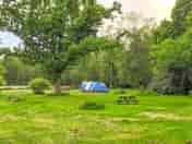 Grass pitches
