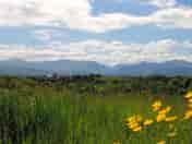 Camping field