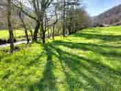 Grass pitches