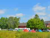 Grass pitches