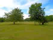 Camping area