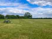 Oak field pitches