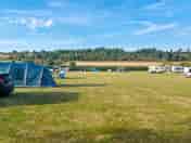 Spacious grassy pitches