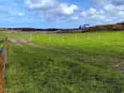 Grassy pitches
