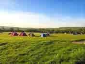 Grass pitches