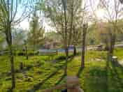 Pitches among the trees