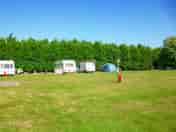 Pitches on site