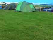 Electrical hookup pitches on level ground