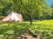 Oak Tree Nook with a swing