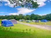 View of the site