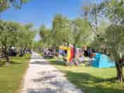 Pitches among trees