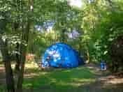Snug in the tent