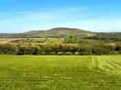 Grass pitch