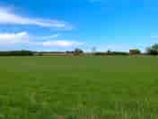 Grassy pitches