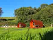 The pods