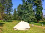 Tipi