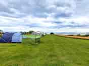 Fully-serviced pitches
