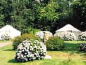 One view the campsite on a sunny day