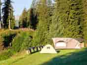 Tent pitch sheltered by trees
