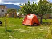 Camping pitch on grass
